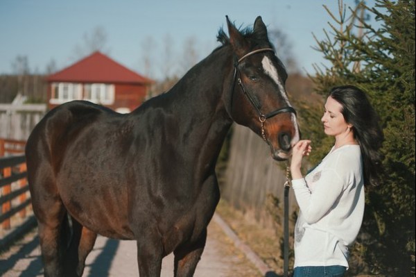 конный клуб