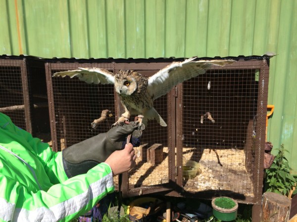 мини-зоопарк