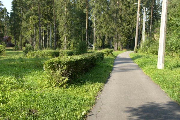 ДОЛ / база отдыха Адмиралтеец
