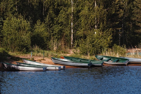 территория