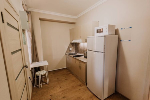 Апартаменты с 1 спальней и кухней