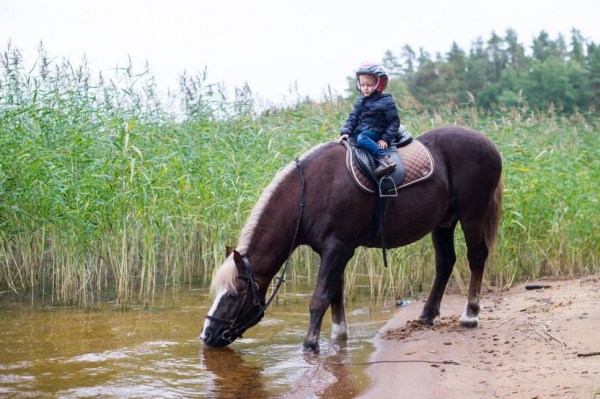 Конные прогулки
