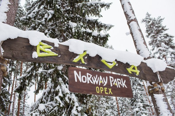 территория