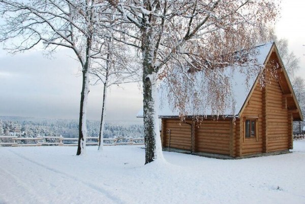 территория