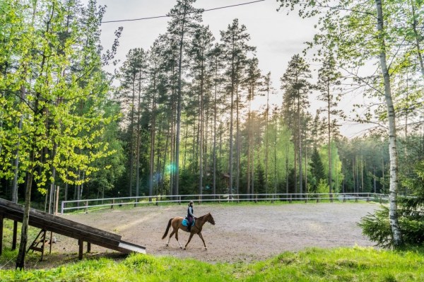 конные прогулки