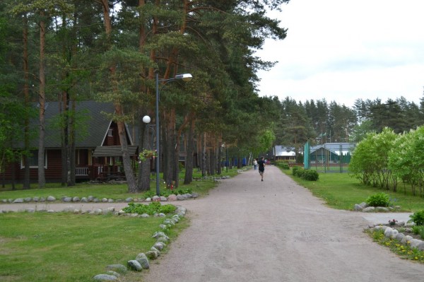 территория