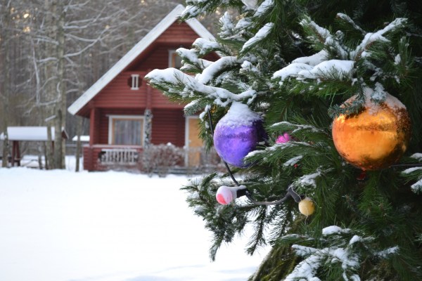 зима на базе отдыха