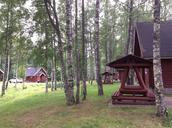 территория