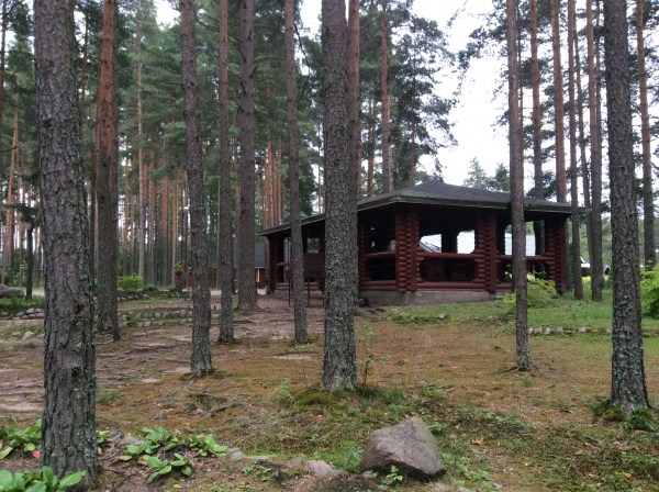 территория