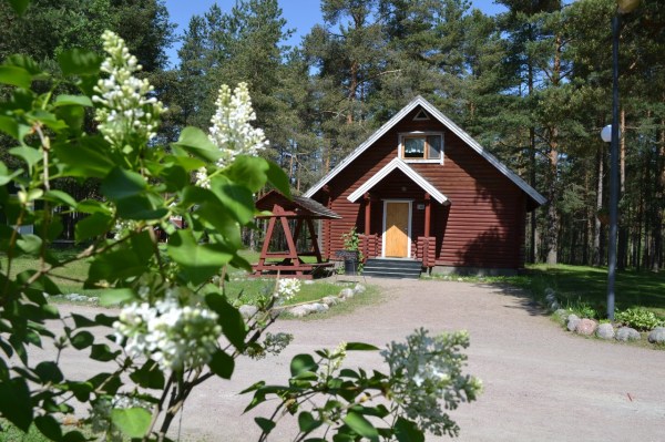 территория