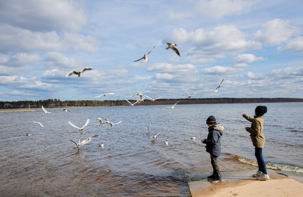 территория