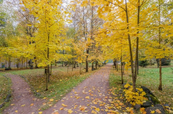 территория