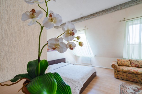 номер "Студио"