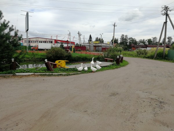 территория