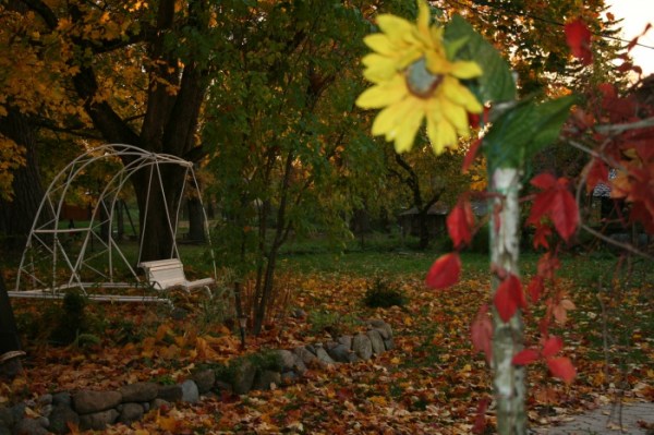 территория