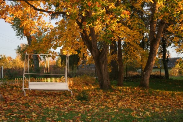 территория