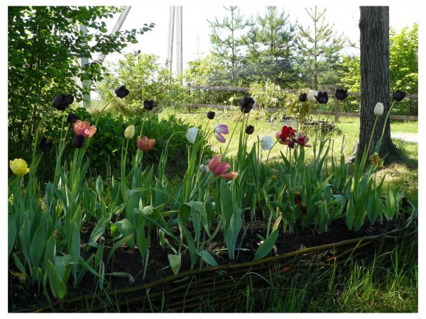 территория