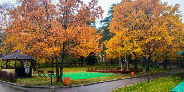 территория