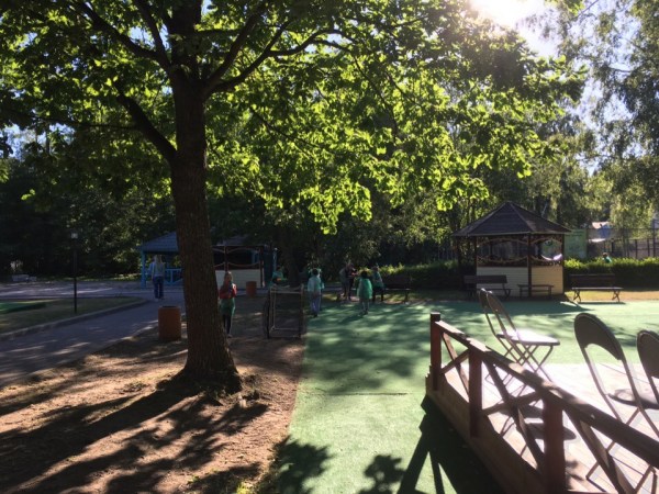 территория