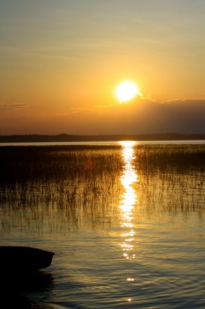 территория