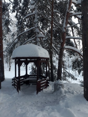 территория