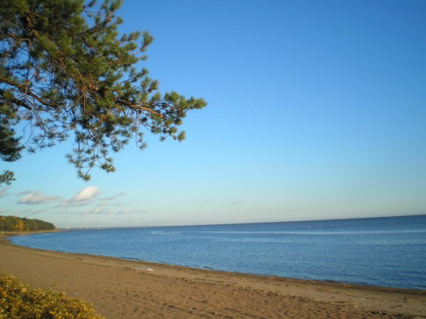 Финский залив