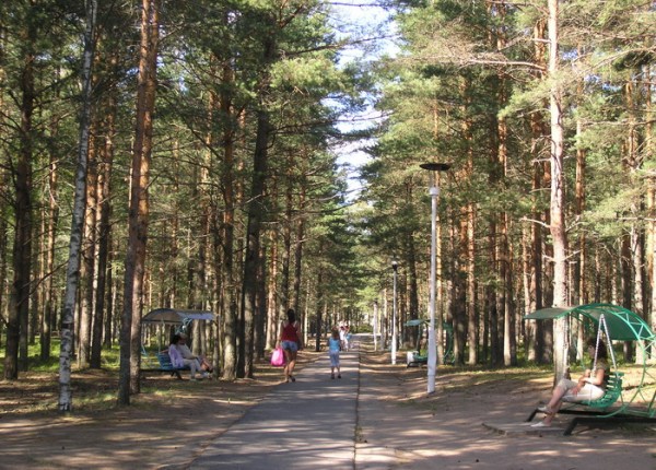 территория