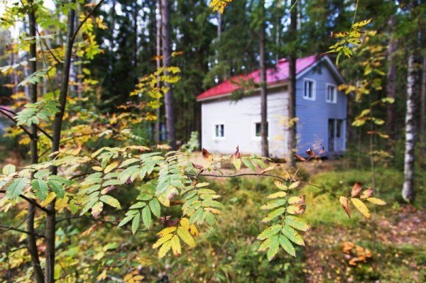 Территория