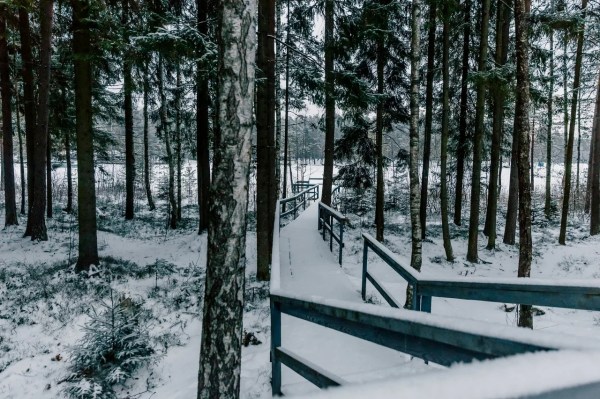 Территория