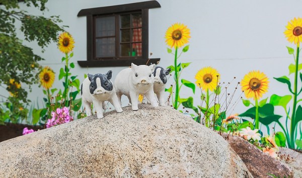 территория