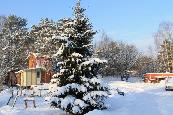 территория