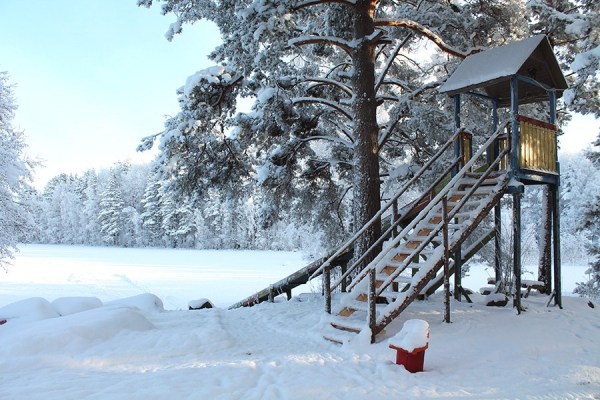 территория