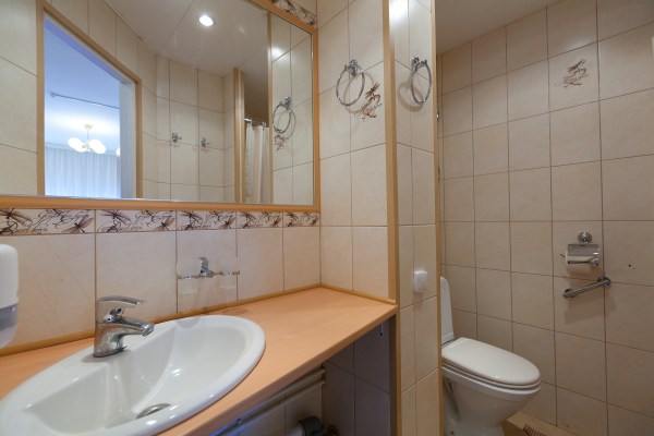 номер "Стандарт двухместный" (1 корпус)