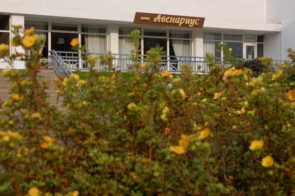 кафе "Авенариус"