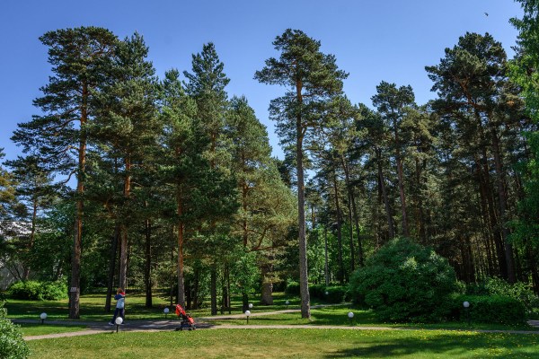 территория