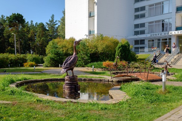 территория