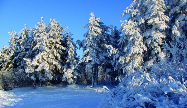 территория