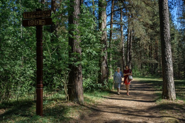 территория