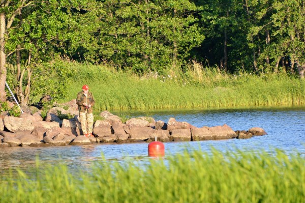 территория