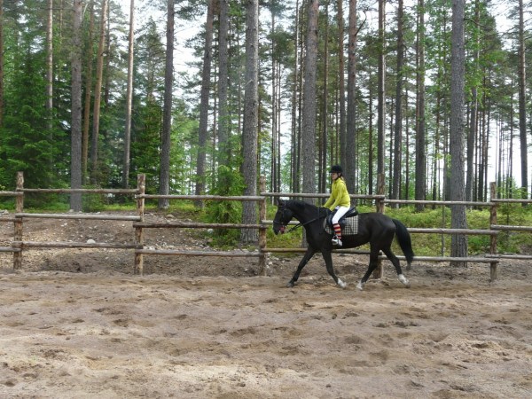 конный клуб