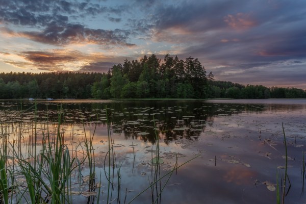 территория