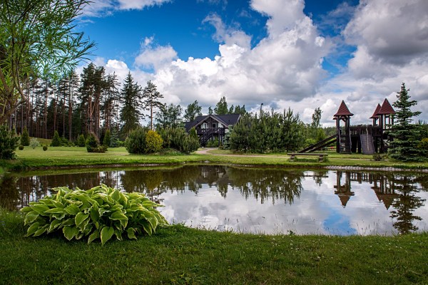 территория