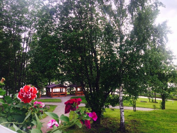 территория