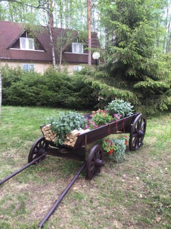 территория