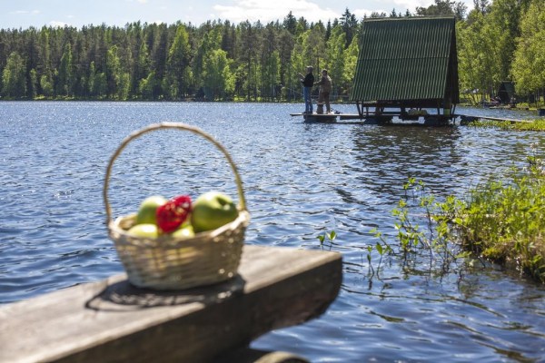 территория