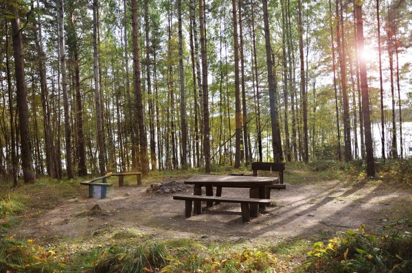 территория