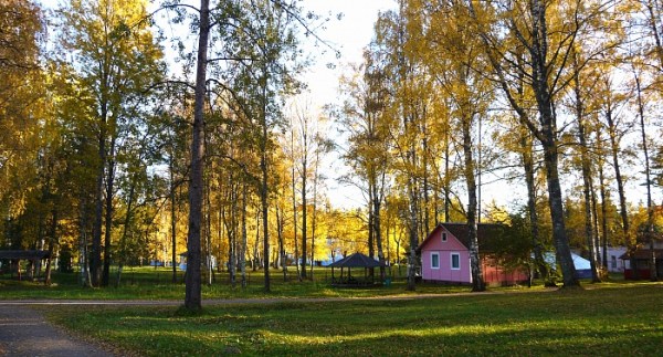 территория