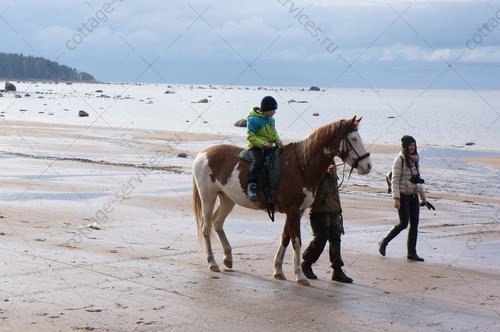 База отдыха Дом у моря