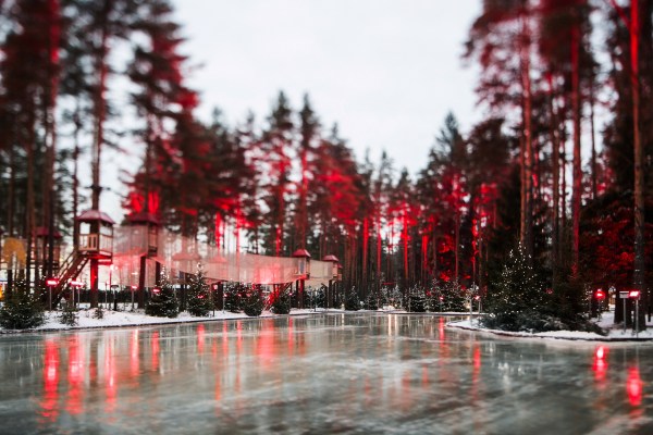 лесной каток