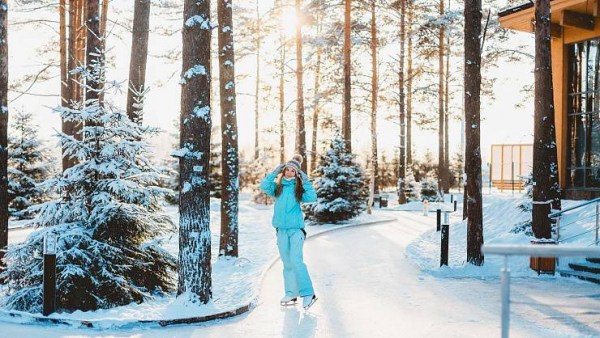 лесной каток